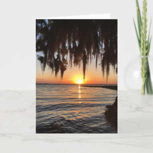 sunset and spanish moss greeting card