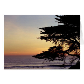 Sunset and Tree, Santa Cruz (Card) Cards