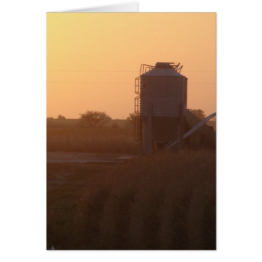 Sunset At Harvest Time Cards (Front)