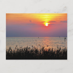 Sunset at Lake Constance in Vorarlberg Postcard