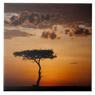 Sunset at Masai Mara Ceramic Tile