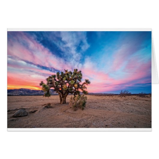 Sunset at Mojave Cards (Front Horizontal)