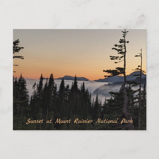 Sunset at Mount Rainier Postard Postcard (Front)