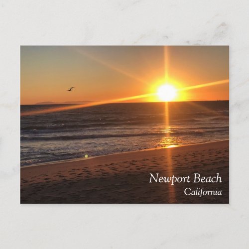 Sunset at Newport Beach California Postcard