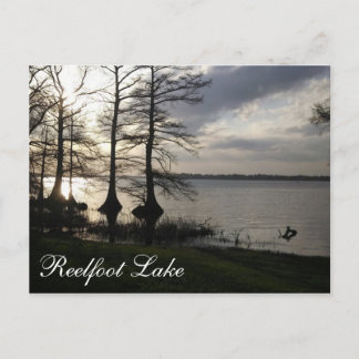 Sunset at Reelfoot Lake Postcard