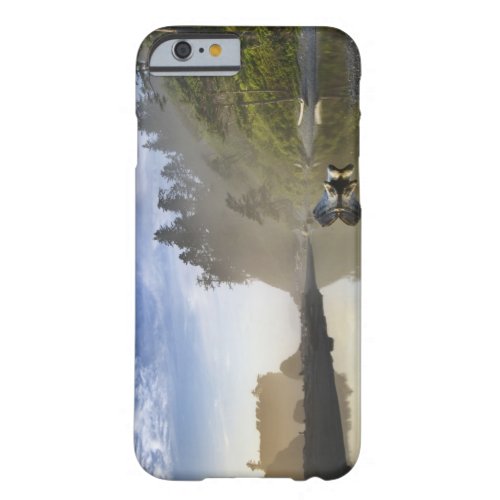 Sunset at Ruby Beach Olympic National Park Barely There iPhone 6 Case