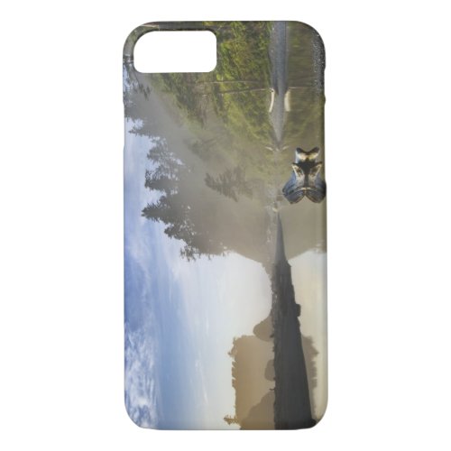Sunset at Ruby Beach Olympic National Park iPhone 87 Case
