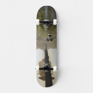 Sunset at Ruby Beach, Olympic National Park, Skateboard Deck