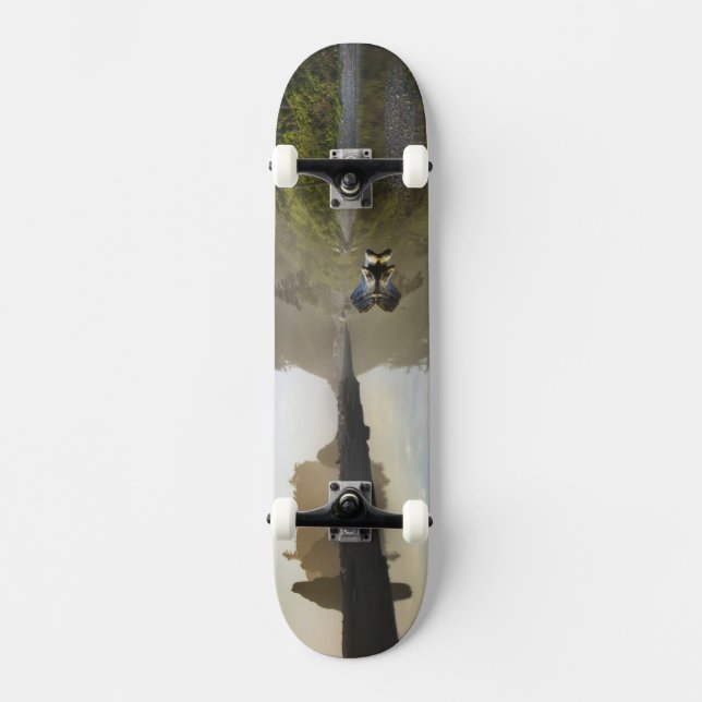 Sunset at Ruby Beach, Olympic National Park, Skateboard Deck (Front)