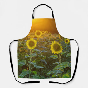 Sunset At Sunflower Field Apron