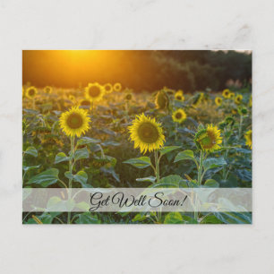 Sunset At Sunflower Field Get Well Soon Postcard