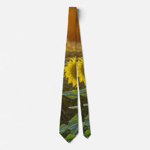 Sunset At Sunflower Field Neck Tie