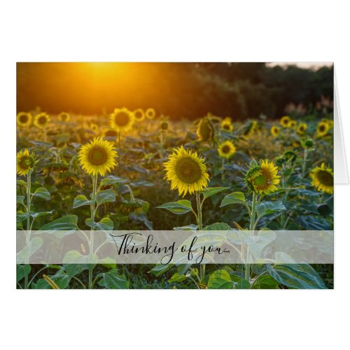 Sunset At Sunflower Field Thinking Of You Card