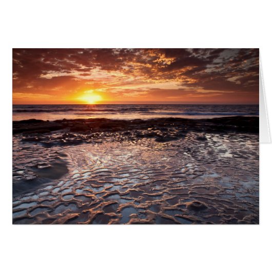Sunset at the beach, California Cards (Front Horizontal)