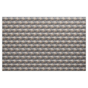 Sunset at the beach fabric