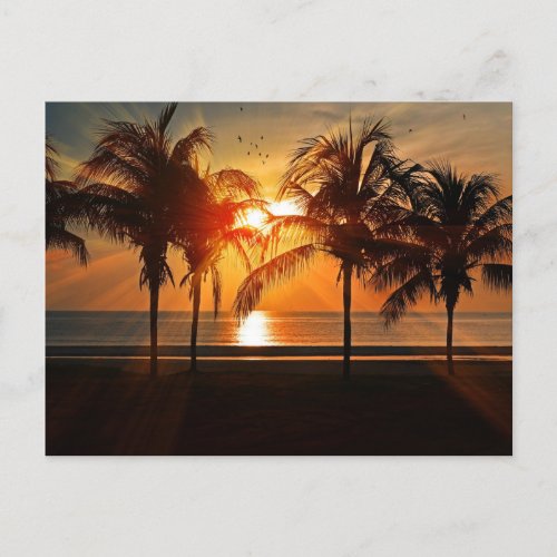 Sunset at the Beach Tropical Landscape  Postcard