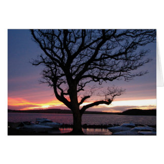 Sunset at the Harbor Cards