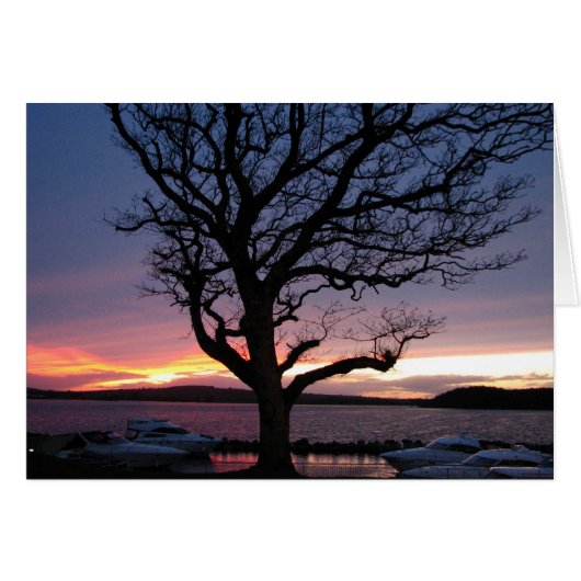 Sunset at the Harbor Cards (Front Horizontal)