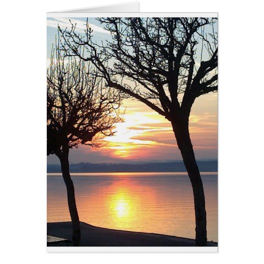 Sunset at the lake cards (Front)