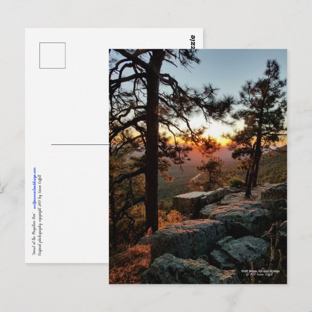 Sunset at the Mogollon Rim Arizona Postcard (Front/Back)