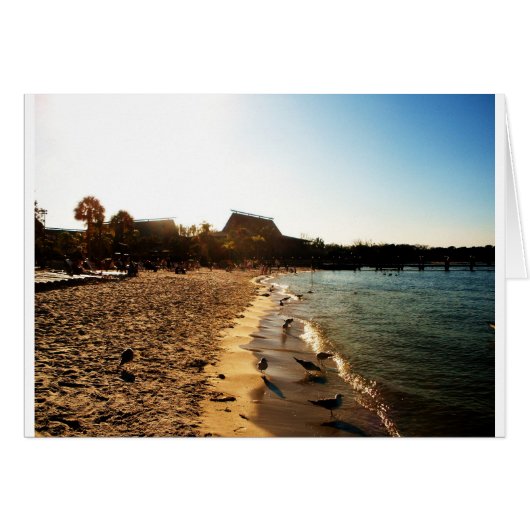 Sunset at the Polynesian (Front Horizontal)