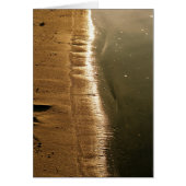 Sunset at the Shoreline (Front)