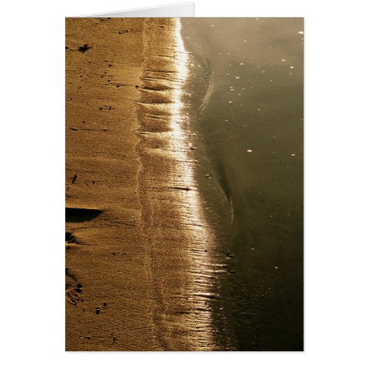 Sunset at the Shoreline (Front)