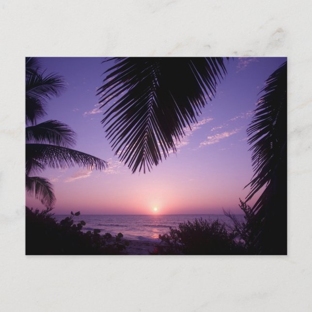 Sunset at West End, Cayman Brac, Cayman Islands, Postcard (Front)