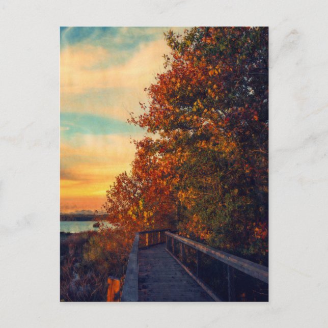 Sunset Autumn Postcard (Front)