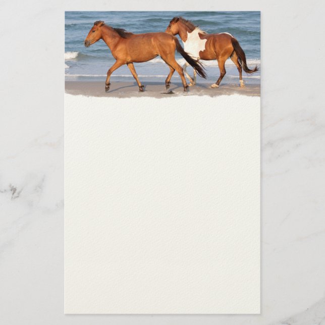 Sunset Beach Horse Stationery (Front)