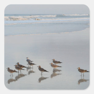 Sunset Beach Photograph Flock of Birds By Ocean Square Sticker