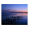 Sunset Beach Photographer Poster