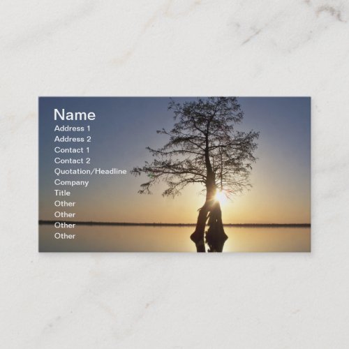 Sunset Behind a Tree Business Card