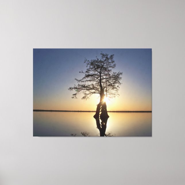 Sunset Behind a Tree Canvas Print (Front)