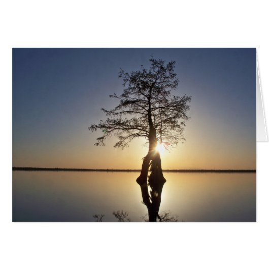 Sunset Behind a Tree Cards (Front Horizontal)