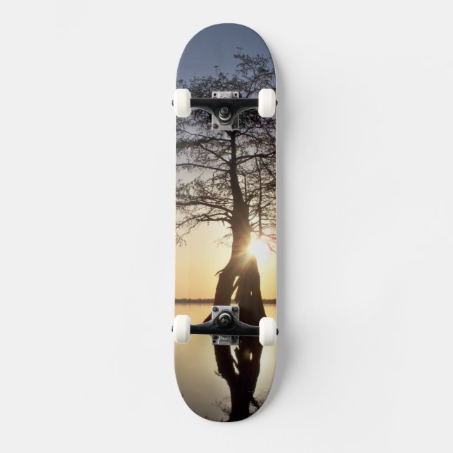 Sunset Behind a Tree Skateboard Deck (Front)