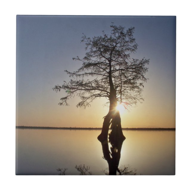 Sunset Behind a Tree Tile (Front)
