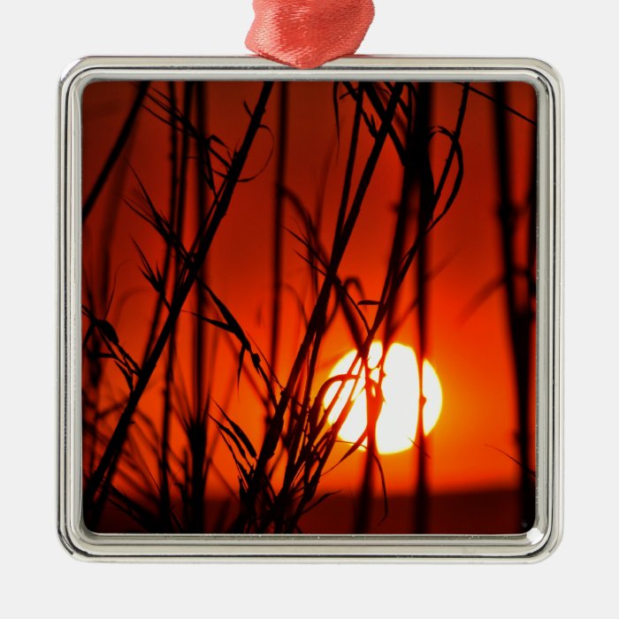 Sunset behind the bamboo christmas tree ornaments