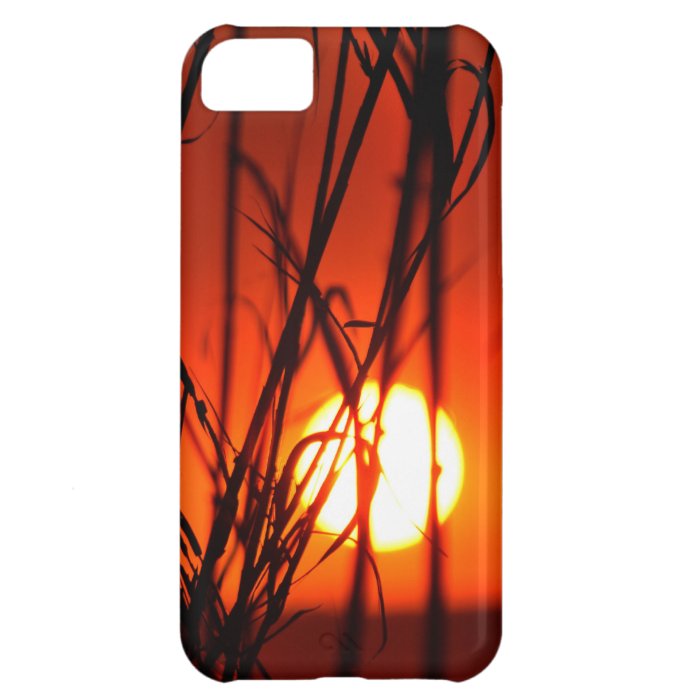 Sunset behind the bamboo iPhone 5C cover