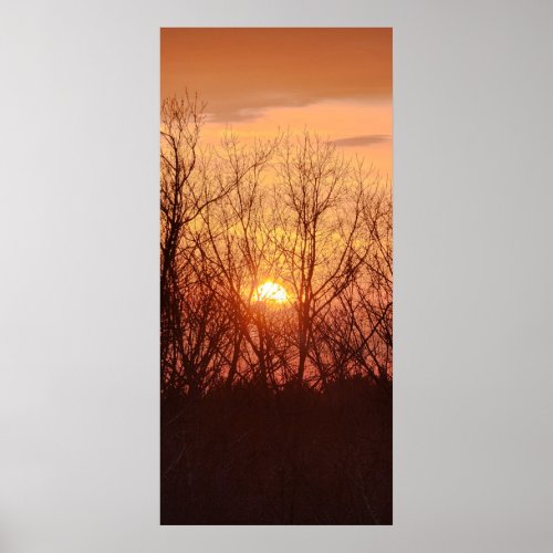 Sunset Behind the Trees Poster