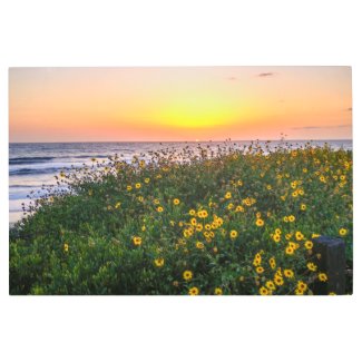 Sunset behind wildflowers metal print