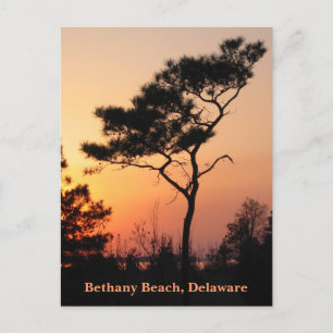 Sunset Bethany Postcard
