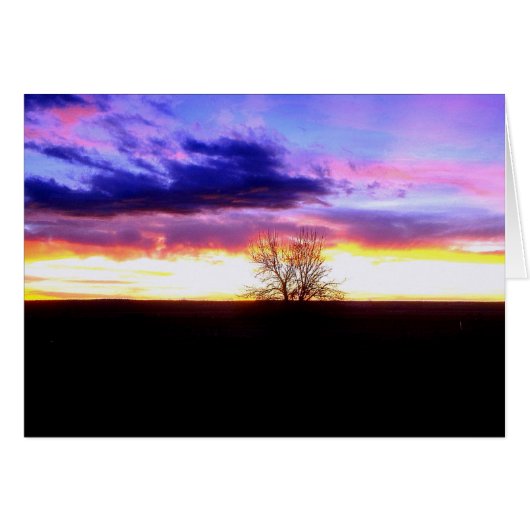 Sunset beyond the Tree_ Cards (Front Horizontal)
