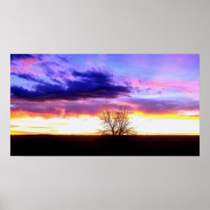 Sunset beyond the Tree_ Poster