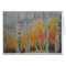 Sunset Birch Trees