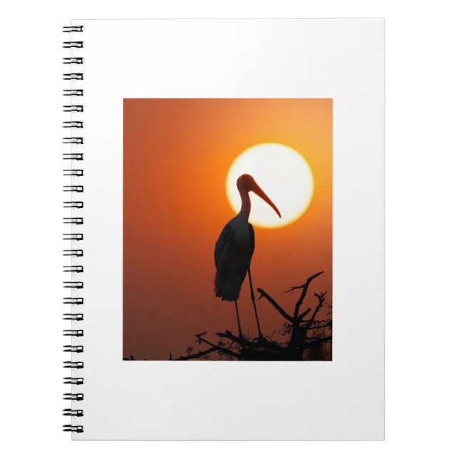 Sunset Bird on Branch – Nature Wall Art Notebook (Front)