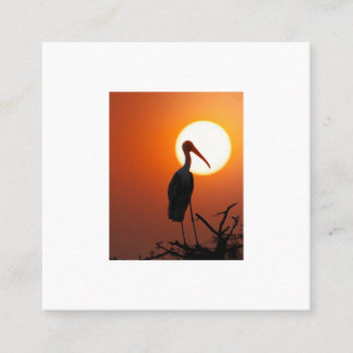 Sunset Bird on Branch – Nature Wall Art Square Business Card
