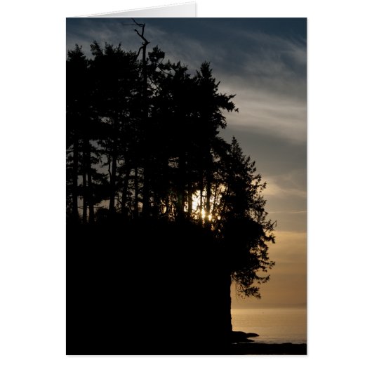 Sunset Bluff Cards (Front)