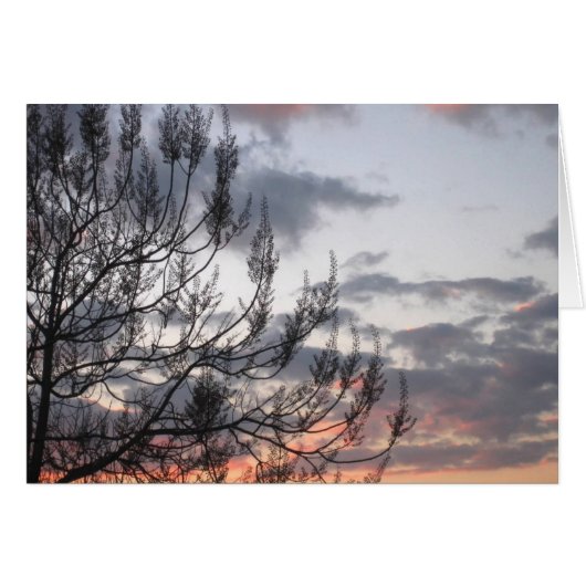 Sunset Branches Cards (Front Horizontal)