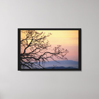 Sunset Branches Silhouette by Sidharta Pascual Canvas Print